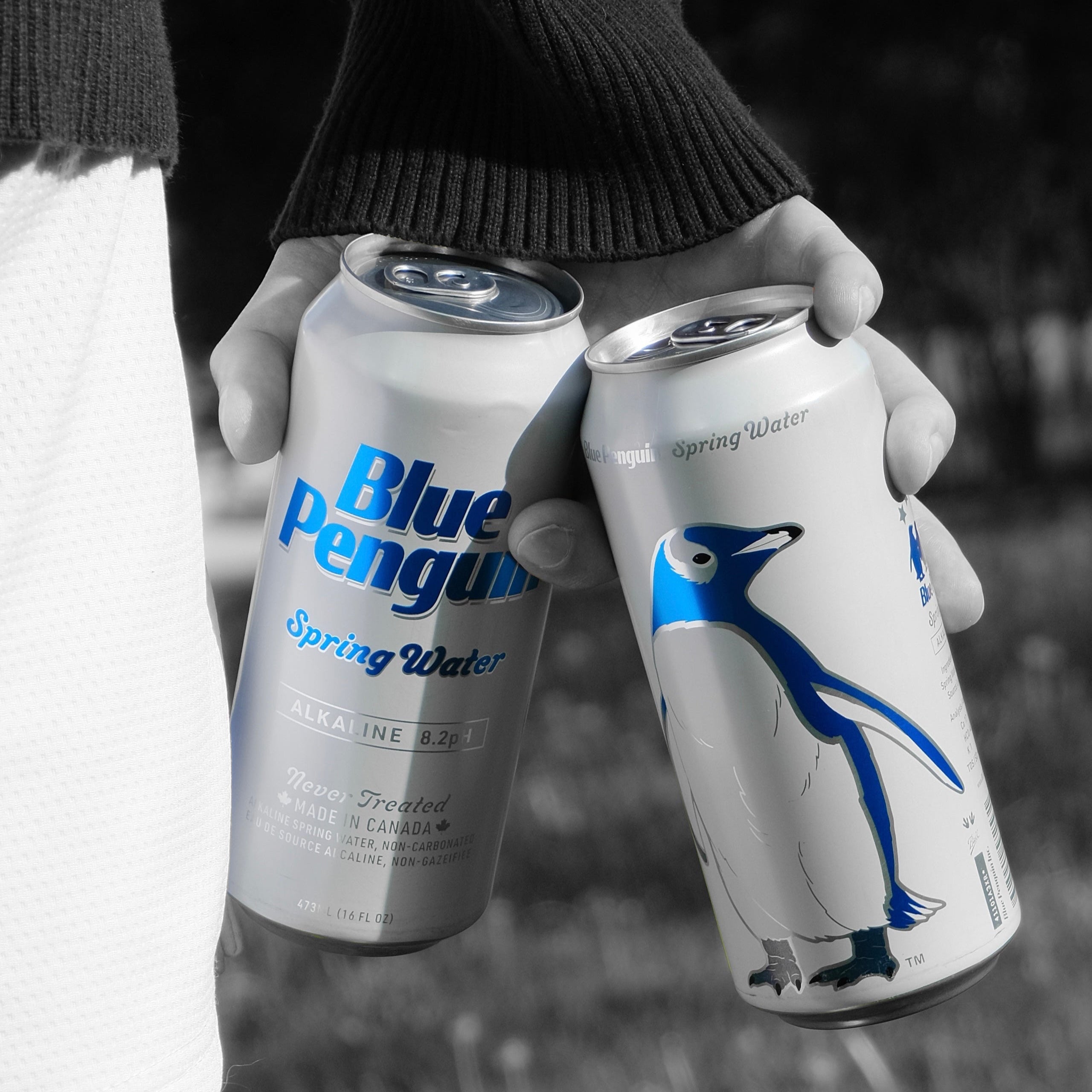 24 Pack - Blue Penguin® Spring Water