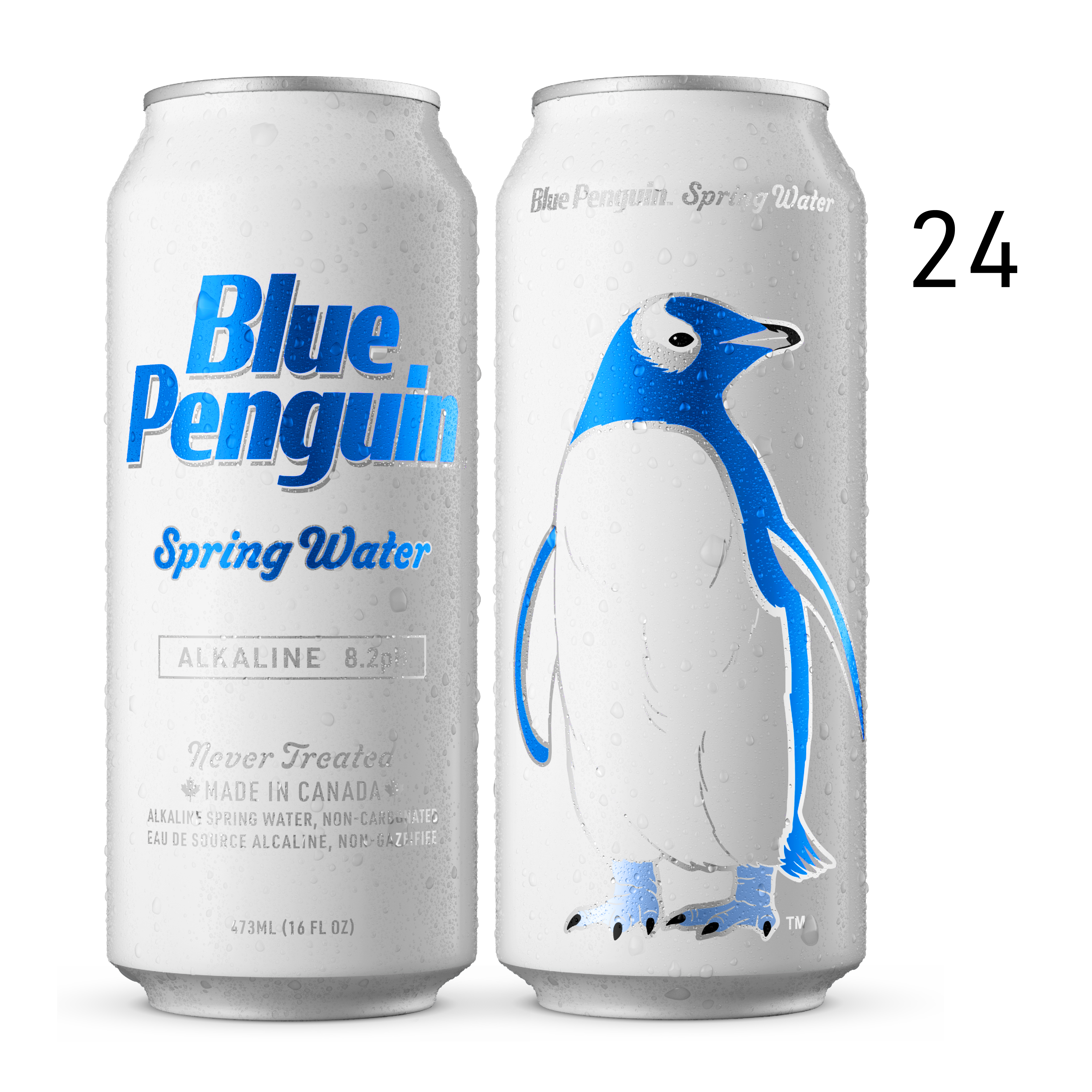 24 Pack - Blue Penguin® Spring Water